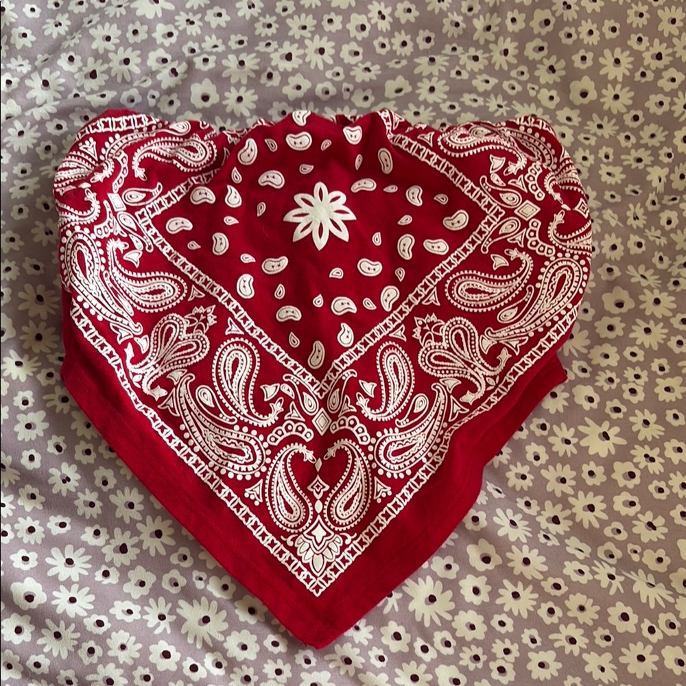 Red Bandana with Paisley Print